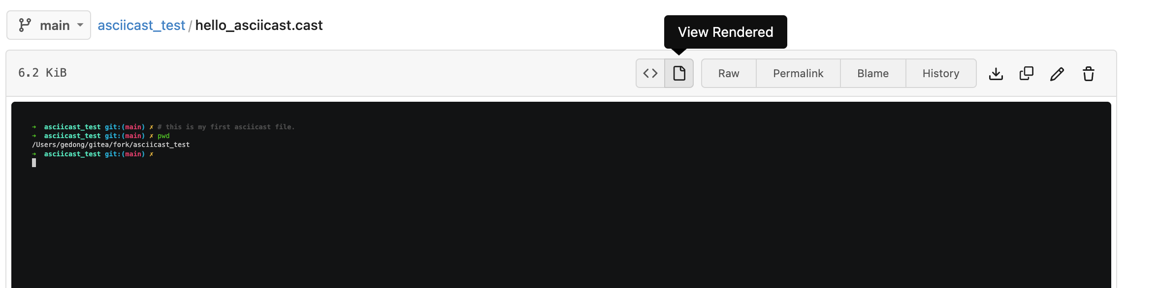 view rendered asciicast video